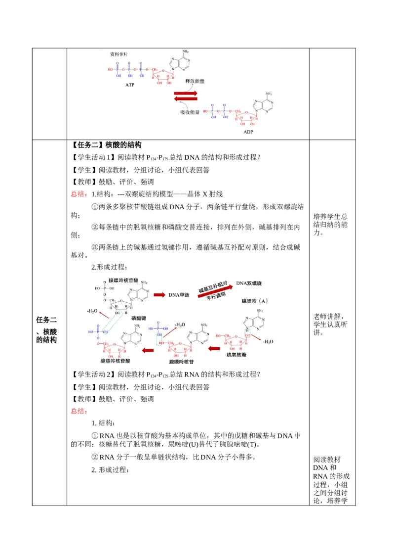 4.3核酸（教学设计）-（人教版2019选择性必修3）_高化_595801221724高中化学新人教版选择性必修一二三电子版教案PPT课件高中试卷_选择性必修3册（人教版）_教学设计