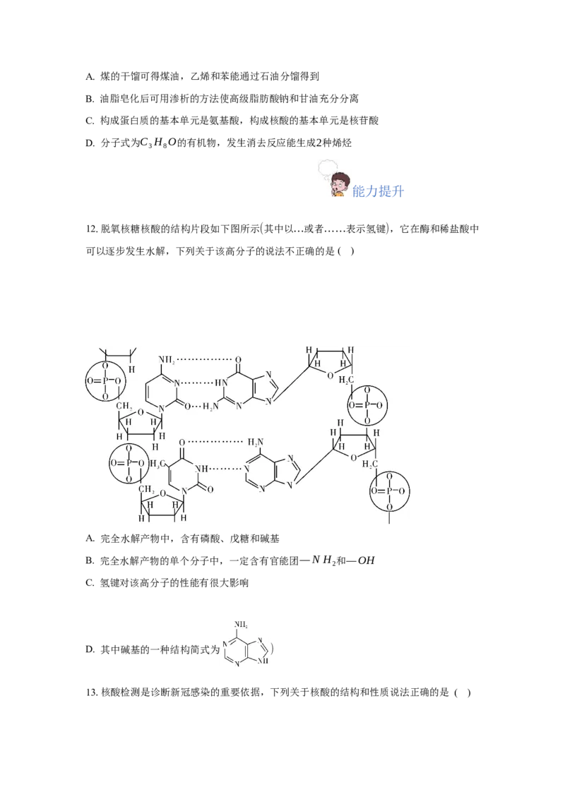 4.3核酸（分层作业）（原卷版）_高化_595801221724高中化学新人教版选择性必修一二三电子版教案PPT课件高中试卷_选择性必修3册（人教版）_分层作业