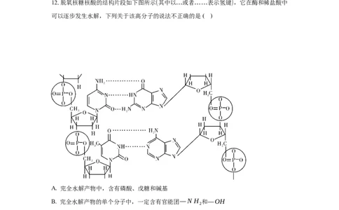 4.3核酸（分层作业）（原卷版）_高化_595801221724高中化学新人教版选择性必修一二三电子版教案PPT课件高中试卷_选择性必修3册（人教版）_分层作业