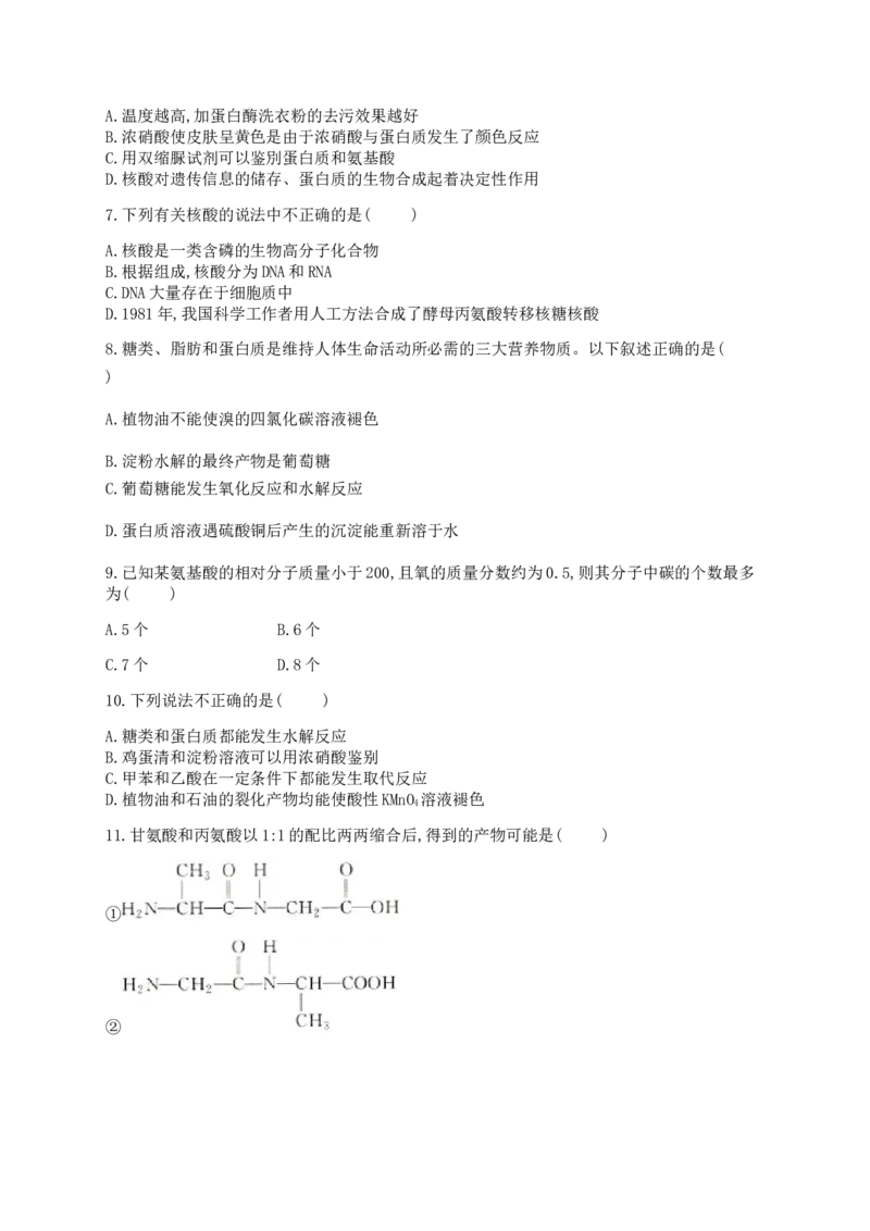4.3核酸同步练习（含解析）_高化_2025春-人教版高中化学_05新版高中化学选择性必修3_5.练习