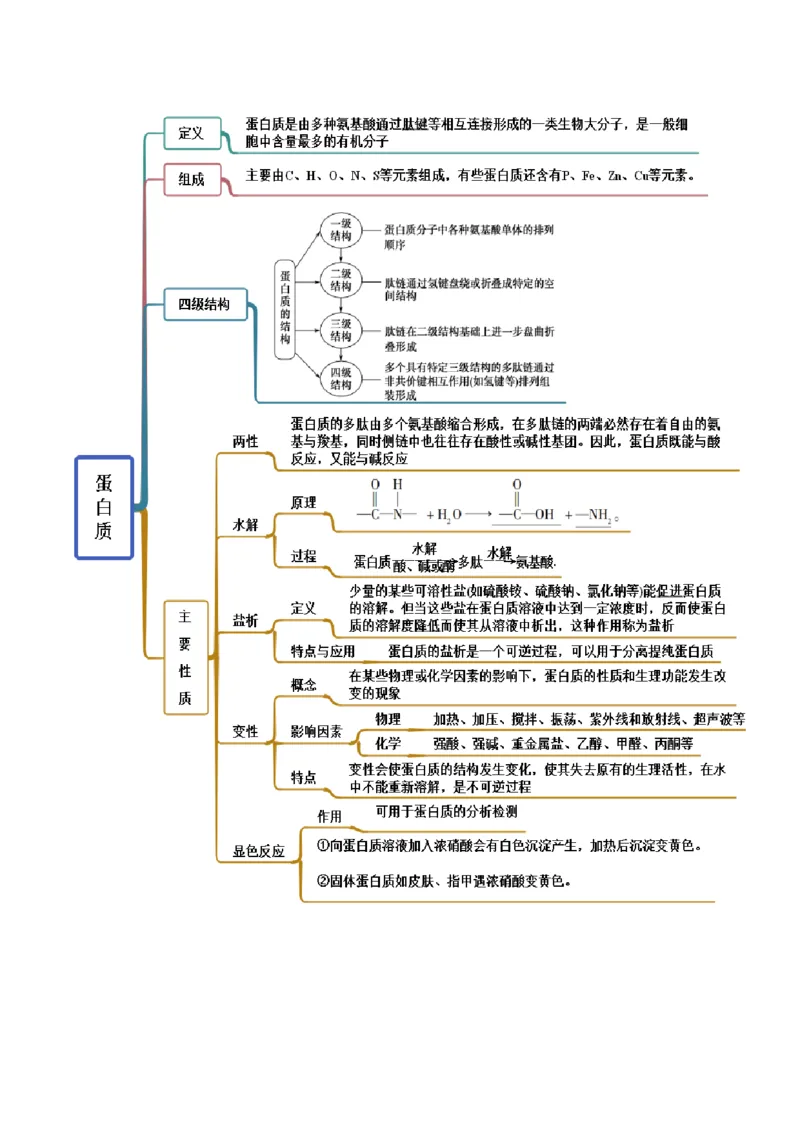 4.2蛋白质（精讲）（人教版2019选择性必修3）（解析版）_高化_595801221724高中化学新人教版选择性必修一二三电子版教案PPT课件高中试卷_选择性必修3册（人教版）_专项练习