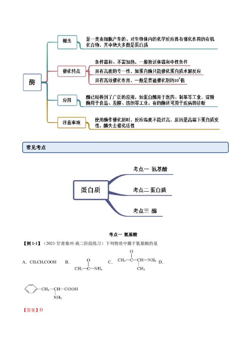 4.2蛋白质（精讲）（人教版2019选择性必修3）（解析版）_高化_595801221724高中化学新人教版选择性必修一二三电子版教案PPT课件高中试卷_选择性必修3册（人教版）_专项练习