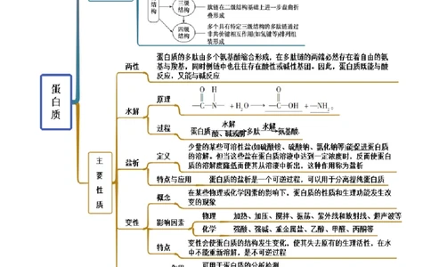 4.2蛋白质（精讲）（人教版2019选择性必修3）（解析版）_高化_595801221724高中化学新人教版选择性必修一二三电子版教案PPT课件高中试卷_选择性必修3册（人教版）_专项练习