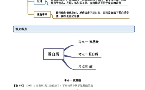4.2蛋白质（精讲）（人教版2019选择性必修3）（解析版）_高化_595801221724高中化学新人教版选择性必修一二三电子版教案PPT课件高中试卷_选择性必修3册（人教版）_专项练习