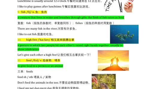 Unit7Animals动物词汇同步讲解与练习（讲义）_三下译林版2026英语_讲义专项