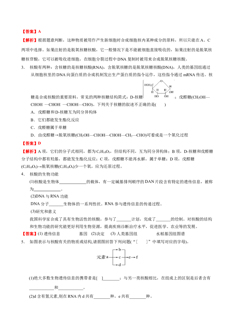 4.3核酸（解析版）-人教版2019选择性必修3）_高化_595801221724高中化学新人教版选择性必修一二三电子版教案PPT课件高中试卷_选择性必修3册（人教版）_讲义