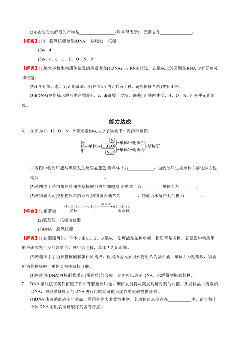 4.3核酸（解析版）-人教版2019选择性必修3）_高化_595801221724高中化学新人教版选择性必修一二三电子版教案PPT课件高中试卷_选择性必修3册（人教版）_讲义