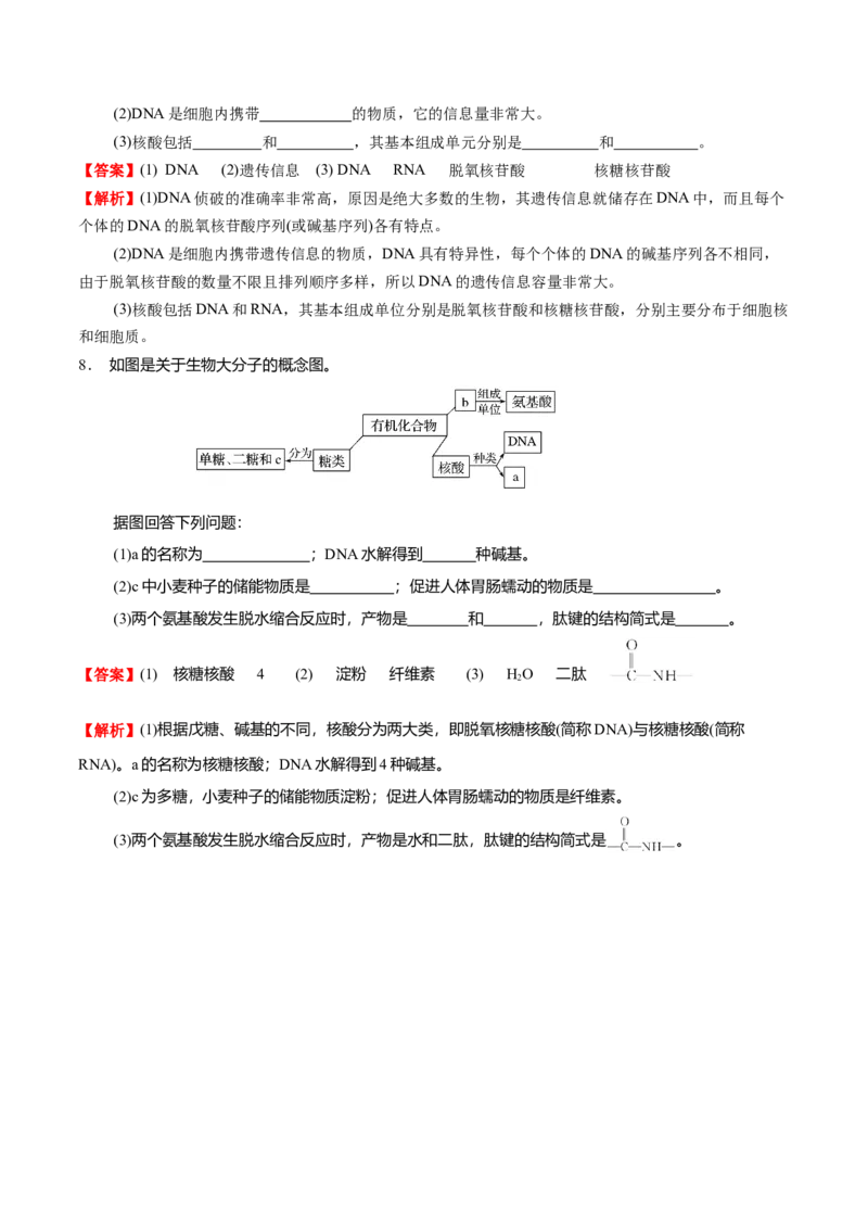 4.3核酸（解析版）-人教版2019选择性必修3）_高化_595801221724高中化学新人教版选择性必修一二三电子版教案PPT课件高中试卷_选择性必修3册（人教版）_讲义