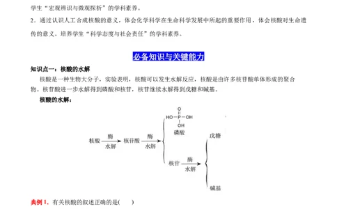 4.3核酸（解析版）-人教版2019选择性必修3）_高化_595801221724高中化学新人教版选择性必修一二三电子版教案PPT课件高中试卷_选择性必修3册（人教版）_讲义