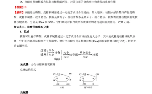 4.3核酸（解析版）-人教版2019选择性必修3）_高化_595801221724高中化学新人教版选择性必修一二三电子版教案PPT课件高中试卷_选择性必修3册（人教版）_讲义