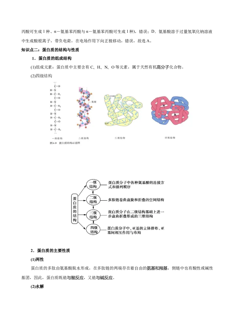 4.2蛋白质（原卷版）-人教版2019选择性必修3）_高化_595801221724高中化学新人教版选择性必修一二三电子版教案PPT课件高中试卷_选择性必修3册（人教版）_讲义