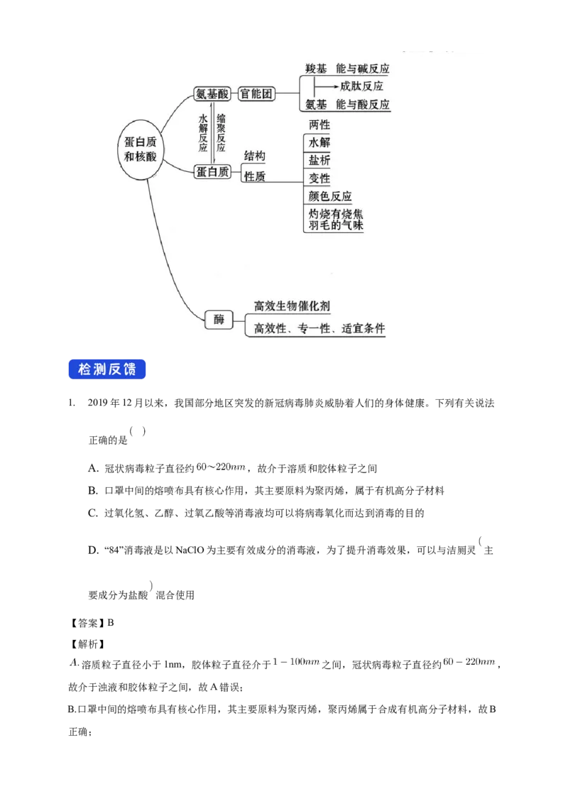 4.2.2蛋白质酶-教学设计-2020-2021学年下学期高二化学同步精品课堂(新教材人教版选择性必修3）_高化_2025春-人教版高中化学_05新版高中化学选择性必修3_1.课件+教案+学案+习题_教案