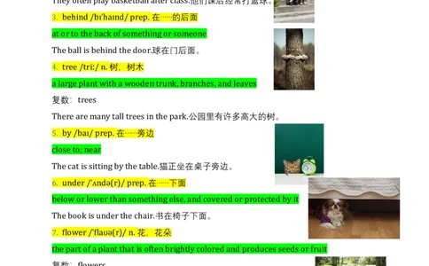 Unit4Havefunafterclass（讲义）_三下译林版2026英语_讲义专项