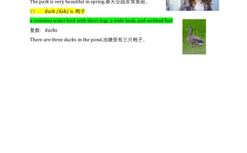 Unit4Havefunafterclass（讲义）_三下译林版2026英语_讲义专项