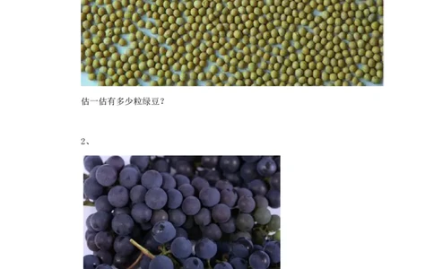 二年级下册数学一课一练-《有多少个字》1北师大版_26春北师大版数学二下_19、赠送其它资料_旧版_第2套：北师大数学2下_北师大数学二下课时练习（99份）