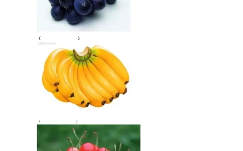 二年级下册数学一课一练-《有多少个字》3北师大版_26春北师大版数学二下_19、赠送其它资料_二年级数学下册（北师大版）_旧版_二年级数学下册（北师大版）_分层作业-K10_课时练习