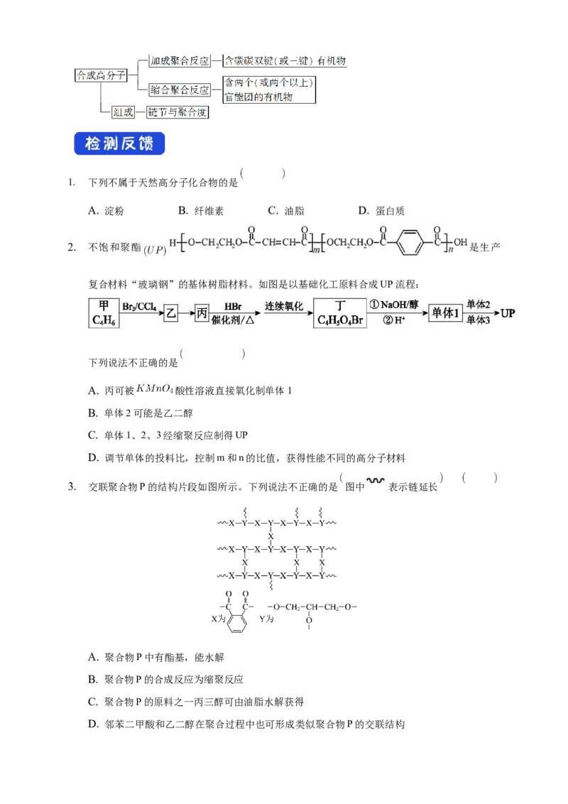5.1合成高分子的基本方法-学案-2020-2021学年下学期高二化学同步精品课堂(新教材人教版选择性必修3)（原卷版）_高化_2025春-人教版高中化学_05新版高中化学选择性必修3_学案