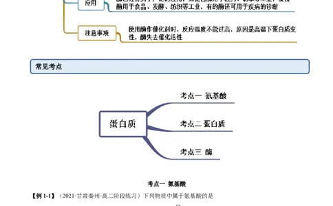 4.2蛋白质（精讲）（人教版2019选择性必修3）(原卷版）_高化_595801221724高中化学新人教版选择性必修一二三电子版教案PPT课件高中试卷_选择性必修3册（人教版）_专项练习