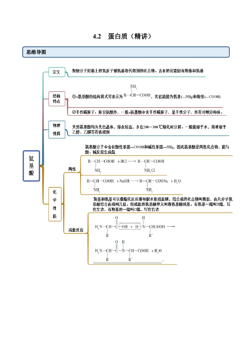 4.2蛋白质（精讲）（人教版2019选择性必修3）(原卷版）_高化_595801221724高中化学新人教版选择性必修一二三电子版教案PPT课件高中试卷_选择性必修3册（人教版）_专项练习