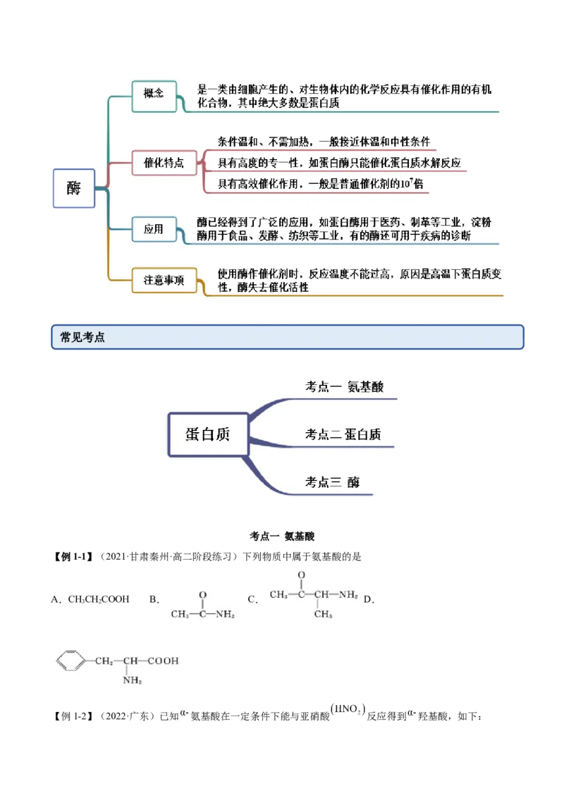 4.2蛋白质（精讲）（人教版2019选择性必修3）(原卷版）_高化_595801221724高中化学新人教版选择性必修一二三电子版教案PPT课件高中试卷_选择性必修3册（人教版）_专项练习