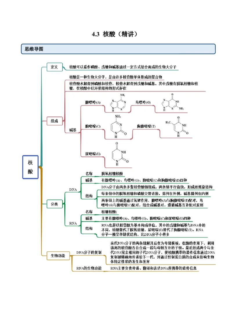 4.3核酸（精讲）（人教版2019选择性必修3）(原卷版）_高化_595801221724高中化学新人教版选择性必修一二三电子版教案PPT课件高中试卷_选择性必修3册（人教版）_专项练习