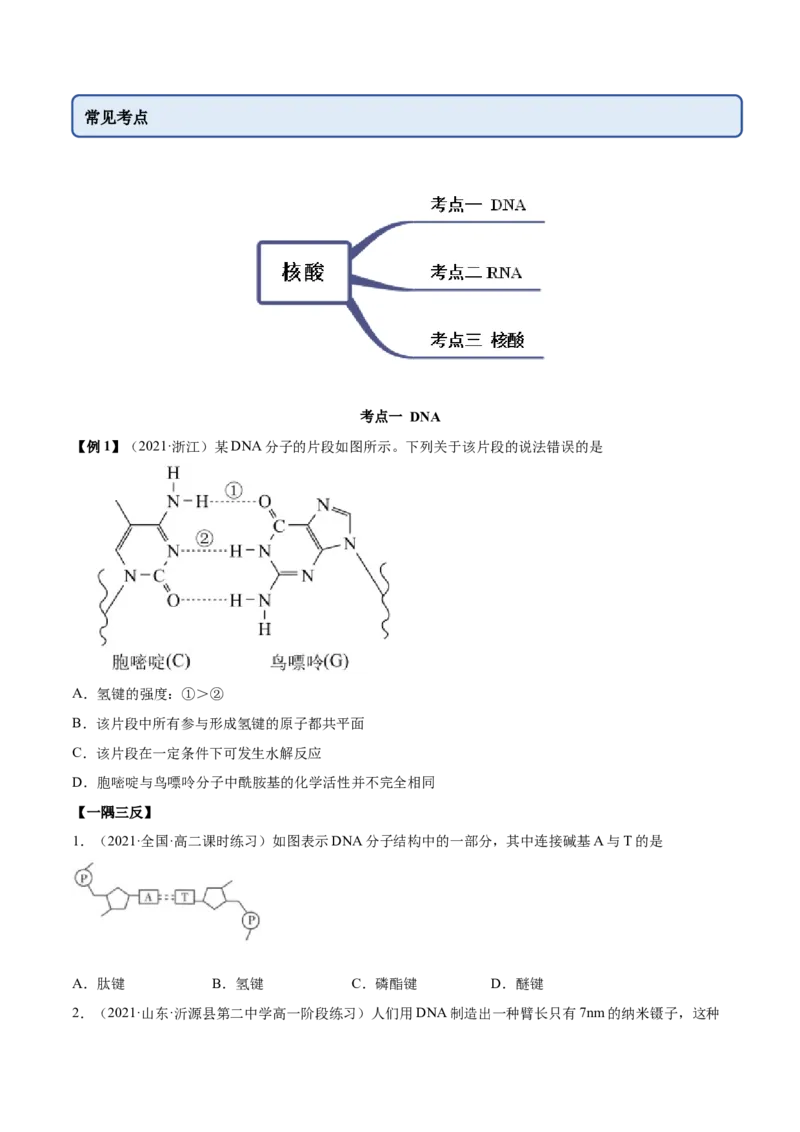4.3核酸（精讲）（人教版2019选择性必修3）(原卷版）_高化_595801221724高中化学新人教版选择性必修一二三电子版教案PPT课件高中试卷_选择性必修3册（人教版）_专项练习