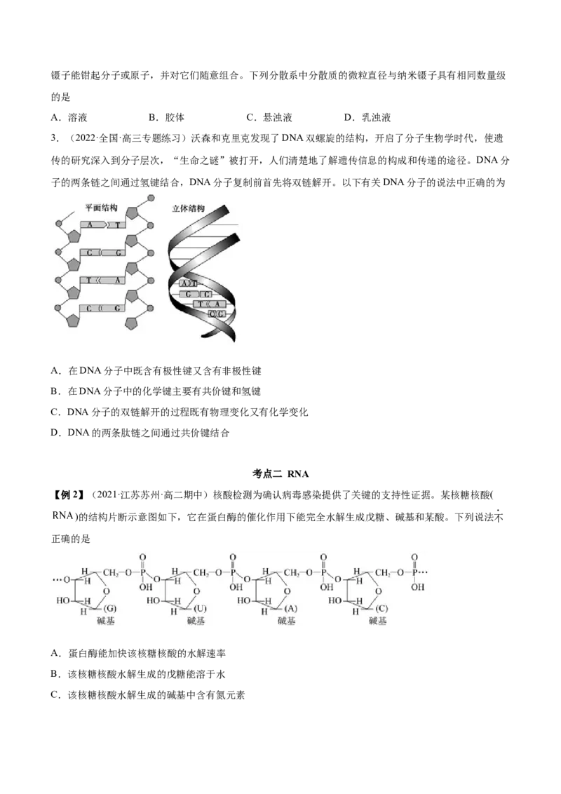 4.3核酸（精讲）（人教版2019选择性必修3）(原卷版）_高化_595801221724高中化学新人教版选择性必修一二三电子版教案PPT课件高中试卷_选择性必修3册（人教版）_专项练习