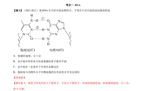 4.3核酸（精讲）（人教版2019选择性必修3）（解析版）_高化_595801221724高中化学新人教版选择性必修一二三电子版教案PPT课件高中试卷_选择性必修3册（人教版）_专项练习