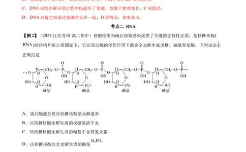 4.3核酸（精讲）（人教版2019选择性必修3）（解析版）_高化_595801221724高中化学新人教版选择性必修一二三电子版教案PPT课件高中试卷_选择性必修3册（人教版）_专项练习