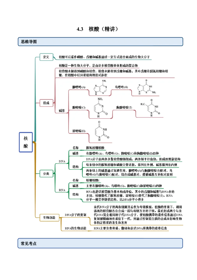 4.3核酸（精讲）（人教版2019选择性必修3）（解析版）_高化_595801221724高中化学新人教版选择性必修一二三电子版教案PPT课件高中试卷_选择性必修3册（人教版）_专项练习