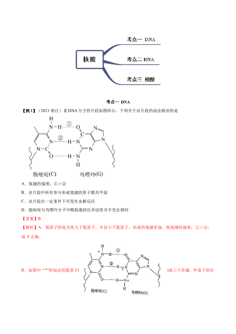 4.3核酸（精讲）（人教版2019选择性必修3）（解析版）_高化_595801221724高中化学新人教版选择性必修一二三电子版教案PPT课件高中试卷_选择性必修3册（人教版）_专项练习