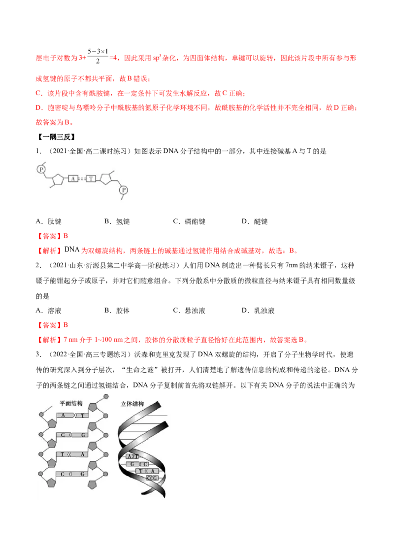 4.3核酸（精讲）（人教版2019选择性必修3）（解析版）_高化_595801221724高中化学新人教版选择性必修一二三电子版教案PPT课件高中试卷_选择性必修3册（人教版）_专项练习