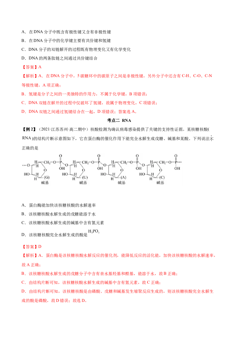 4.3核酸（精讲）（人教版2019选择性必修3）（解析版）_高化_595801221724高中化学新人教版选择性必修一二三电子版教案PPT课件高中试卷_选择性必修3册（人教版）_专项练习