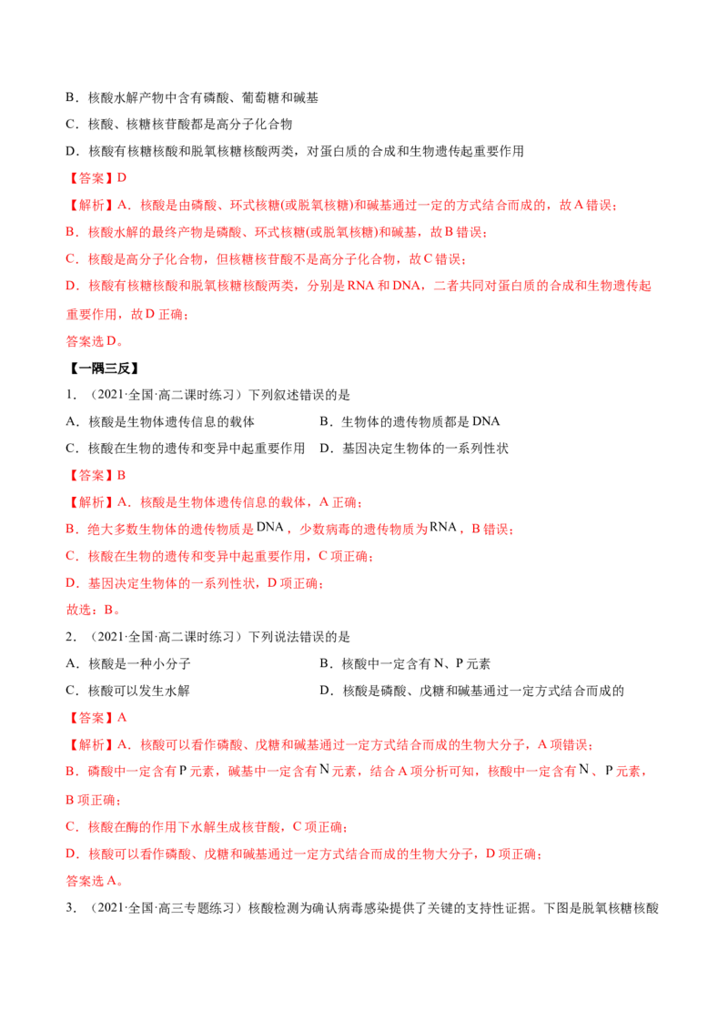 4.3核酸（精讲）（人教版2019选择性必修3）（解析版）_高化_595801221724高中化学新人教版选择性必修一二三电子版教案PPT课件高中试卷_选择性必修3册（人教版）_专项练习