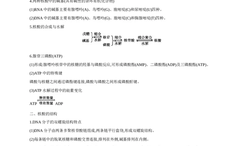 4.3核酸（导学案）（原卷版）_高化_595801221724高中化学新人教版选择性必修一二三电子版教案PPT课件高中试卷_选择性必修3册（人教版）_导学案