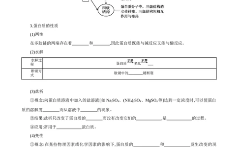 4.2蛋白质（导学案）（解析版）_高化_595801221724高中化学新人教版选择性必修一二三电子版教案PPT课件高中试卷_选择性必修3册（人教版）_导学案