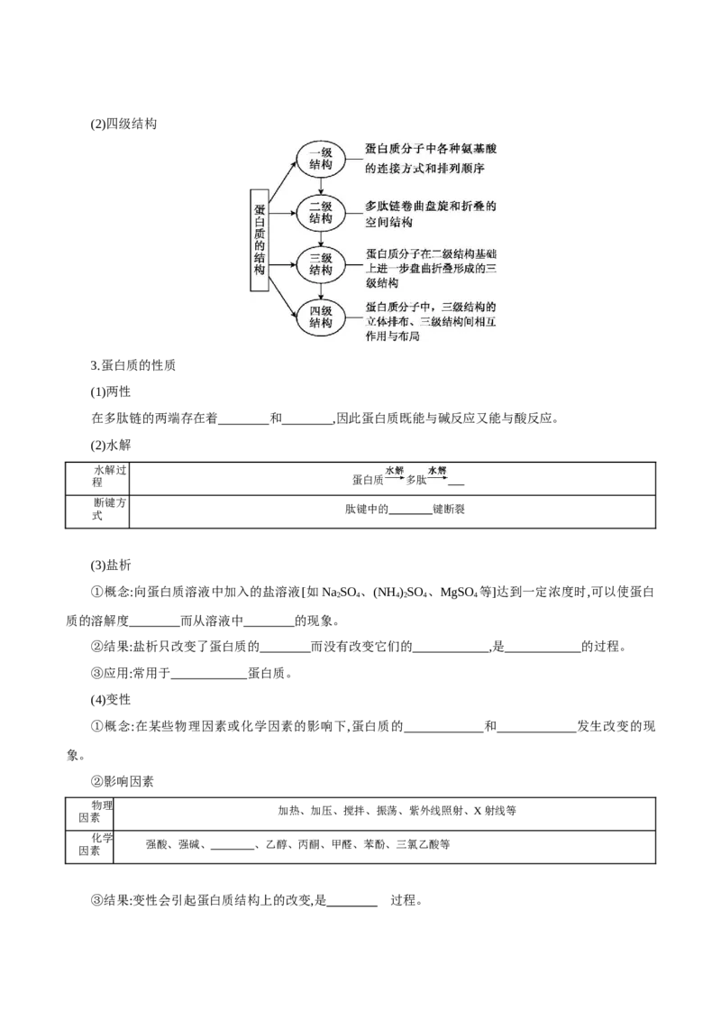 4.2蛋白质（导学案）（解析版）_高化_595801221724高中化学新人教版选择性必修一二三电子版教案PPT课件高中试卷_选择性必修3册（人教版）_导学案