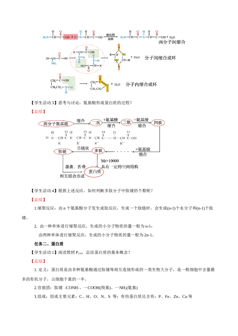 4.2蛋白质（导学案）（解析版）_高化_595801221724高中化学新人教版选择性必修一二三电子版教案PPT课件高中试卷_选择性必修3册（人教版）_导学案