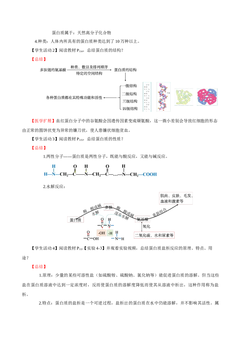 4.2蛋白质（导学案）（解析版）_高化_595801221724高中化学新人教版选择性必修一二三电子版教案PPT课件高中试卷_选择性必修3册（人教版）_导学案