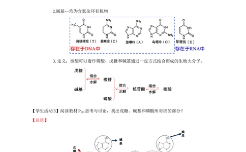 4.3核酸（导学案）（解析版）_高化_595801221724高中化学新人教版选择性必修一二三电子版教案PPT课件高中试卷_选择性必修3册（人教版）_导学案