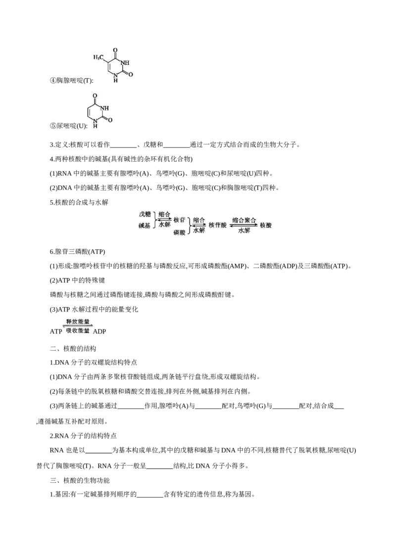 4.3核酸（导学案）（解析版）_高化_595801221724高中化学新人教版选择性必修一二三电子版教案PPT课件高中试卷_选择性必修3册（人教版）_导学案