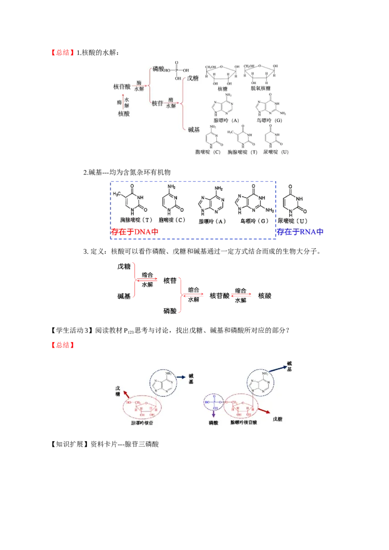 4.3核酸（导学案）（解析版）_高化_595801221724高中化学新人教版选择性必修一二三电子版教案PPT课件高中试卷_选择性必修3册（人教版）_导学案