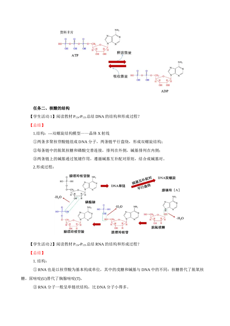 4.3核酸（导学案）（解析版）_高化_595801221724高中化学新人教版选择性必修一二三电子版教案PPT课件高中试卷_选择性必修3册（人教版）_导学案