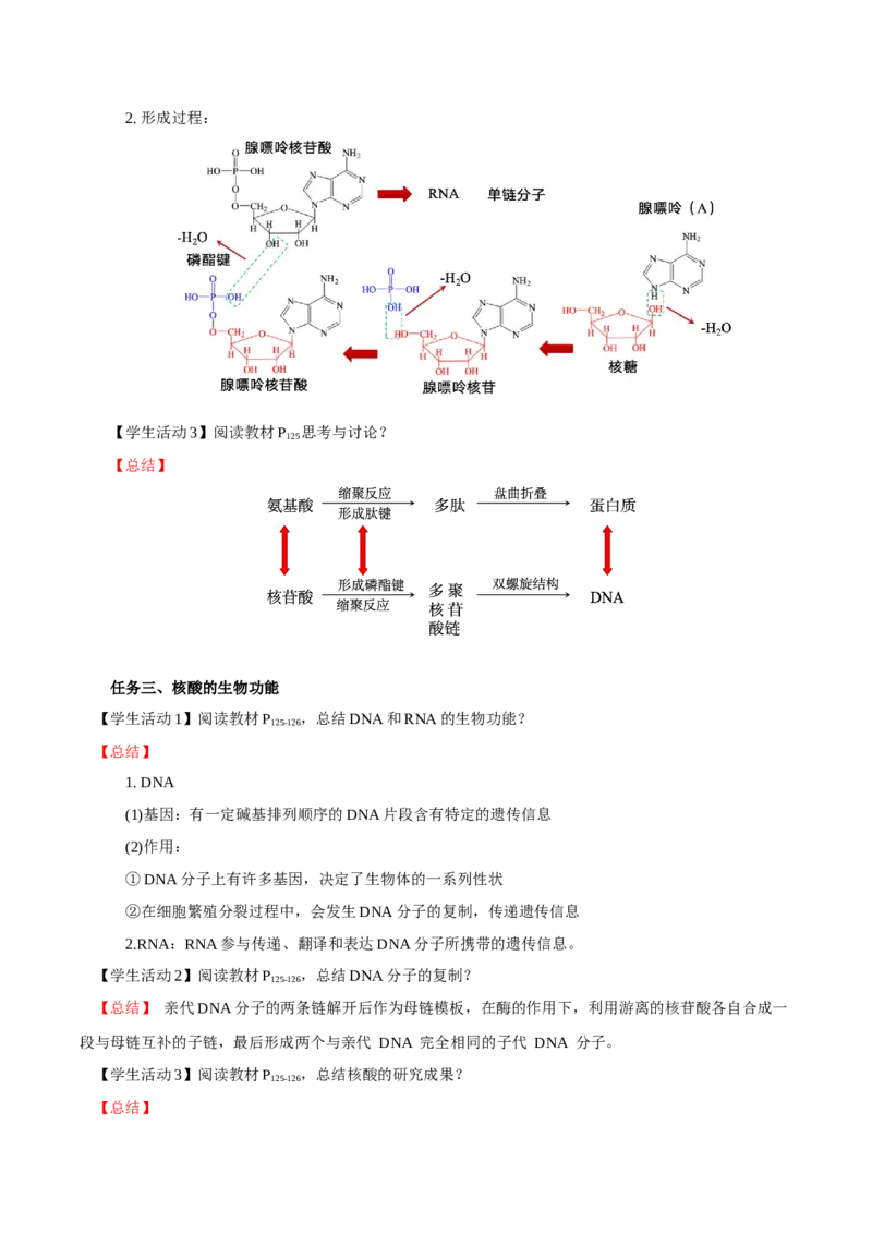 4.3核酸（导学案）（解析版）_高化_595801221724高中化学新人教版选择性必修一二三电子版教案PPT课件高中试卷_选择性必修3册（人教版）_导学案
