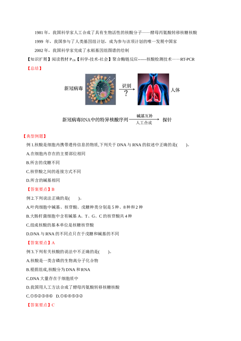 4.3核酸（导学案）（解析版）_高化_595801221724高中化学新人教版选择性必修一二三电子版教案PPT课件高中试卷_选择性必修3册（人教版）_导学案