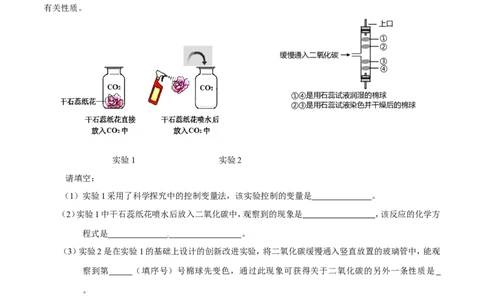 专题24科学探究实例（练）-备战2017年中考化学二轮复习讲练测（解析版）_初中化学_01.人教版初中化学_07.初中化学中考总复习_备战2017年中考化学二轮复习讲练测（练）全套打包