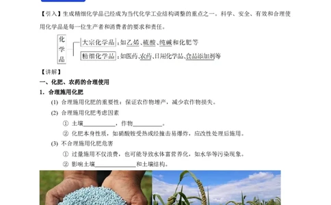 新教材精创8.2化学品的合理使用教学设计（1）-人教版高中化学必修第二册_高化_2025春-人教版高中化学_02新版高中化学必修二_2.课件+教案+学案+练习配套版_教案
