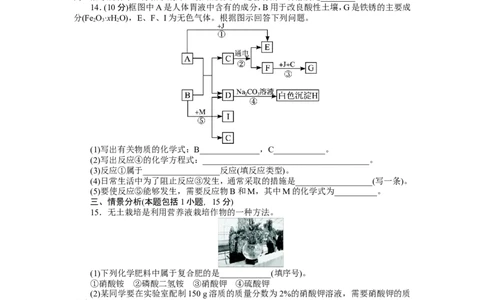 2013-2014学年化学人教九年级下第11单元盐化肥单元检测_初中化学_01.人教版初中化学_01.初中化学课件PPT--教案--试题_初中化学全套_化学试题