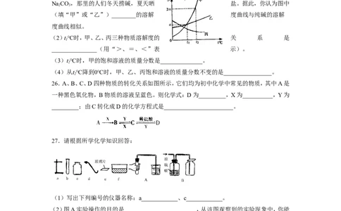 2007年全国初中学生化学素质和实验能力竞赛河南赛区预赛试卷_初中化学_01.人教版初中化学_01.初中化学课件PPT--教案--试题_初中化学全套_化学试题