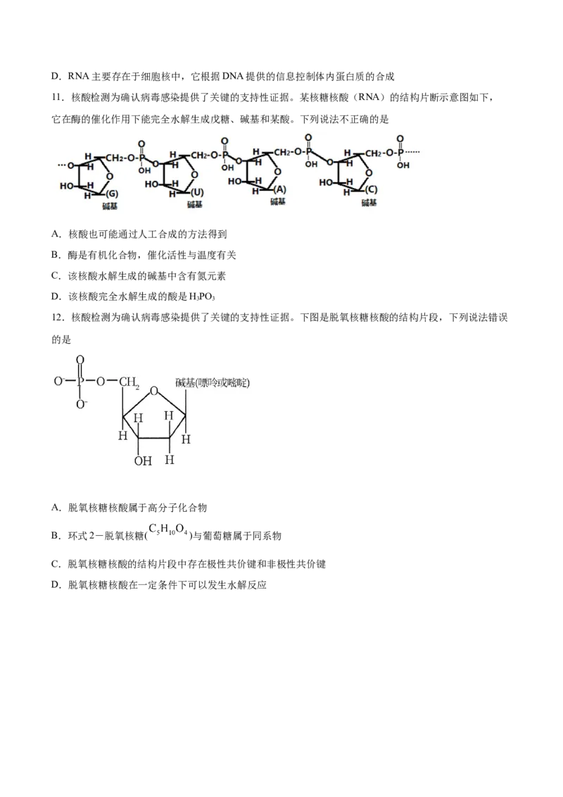 第4章第3节核酸习题新教材2020-2021学年人教版(2019)高二化学选择性必修三（机构用）_高化_2025春-人教版高中化学_05新版高中化学选择性必修3_7.机构专用_讲义+习题（机构用）
